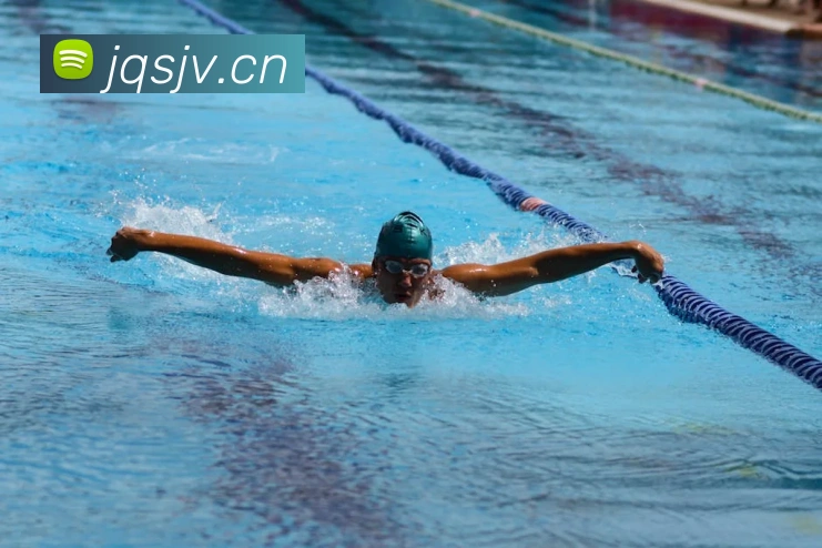 九州体育平台生态图